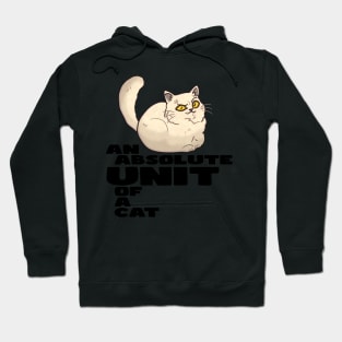 AN ABSOLUTE UNIT OF A CAT Hoodie